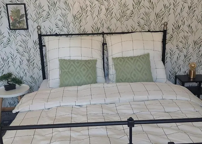 Aasee 公寓 蒙斯特